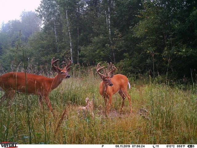 $469,900 | 24051 324th Street, Sebeka, MN 56477