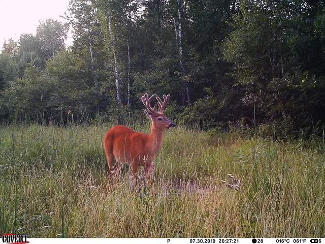 $469,900 | 24051 324th Street, Sebeka, MN 56477