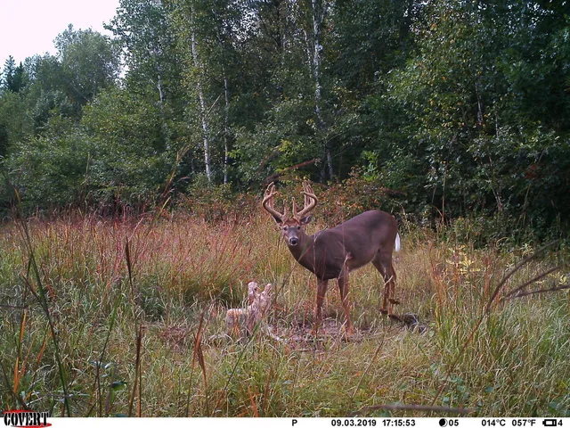 $469,900 | 24051 324th Street, Sebeka, MN 56477