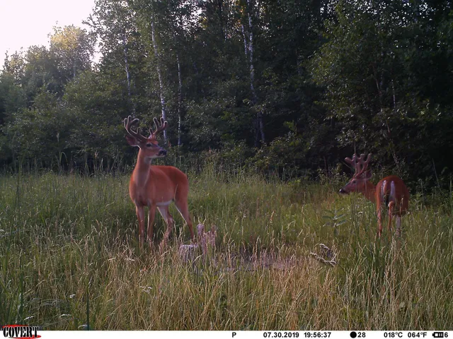 $469,900 | 24051 324th Street, Sebeka, MN 56477