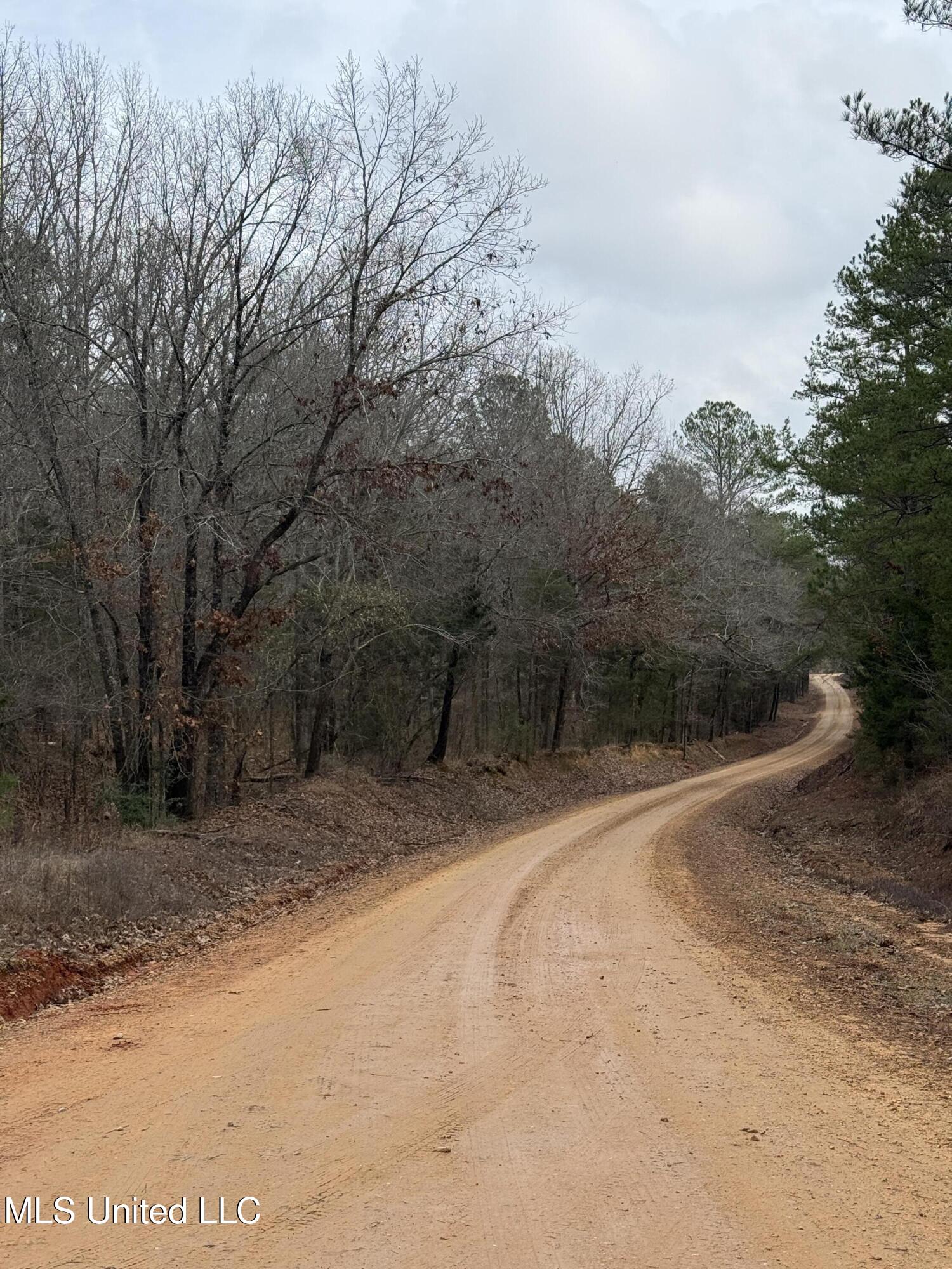 602 Ship Island Road Duck Hill, MS 38925 - Photo 11 of 26 IMG_1489