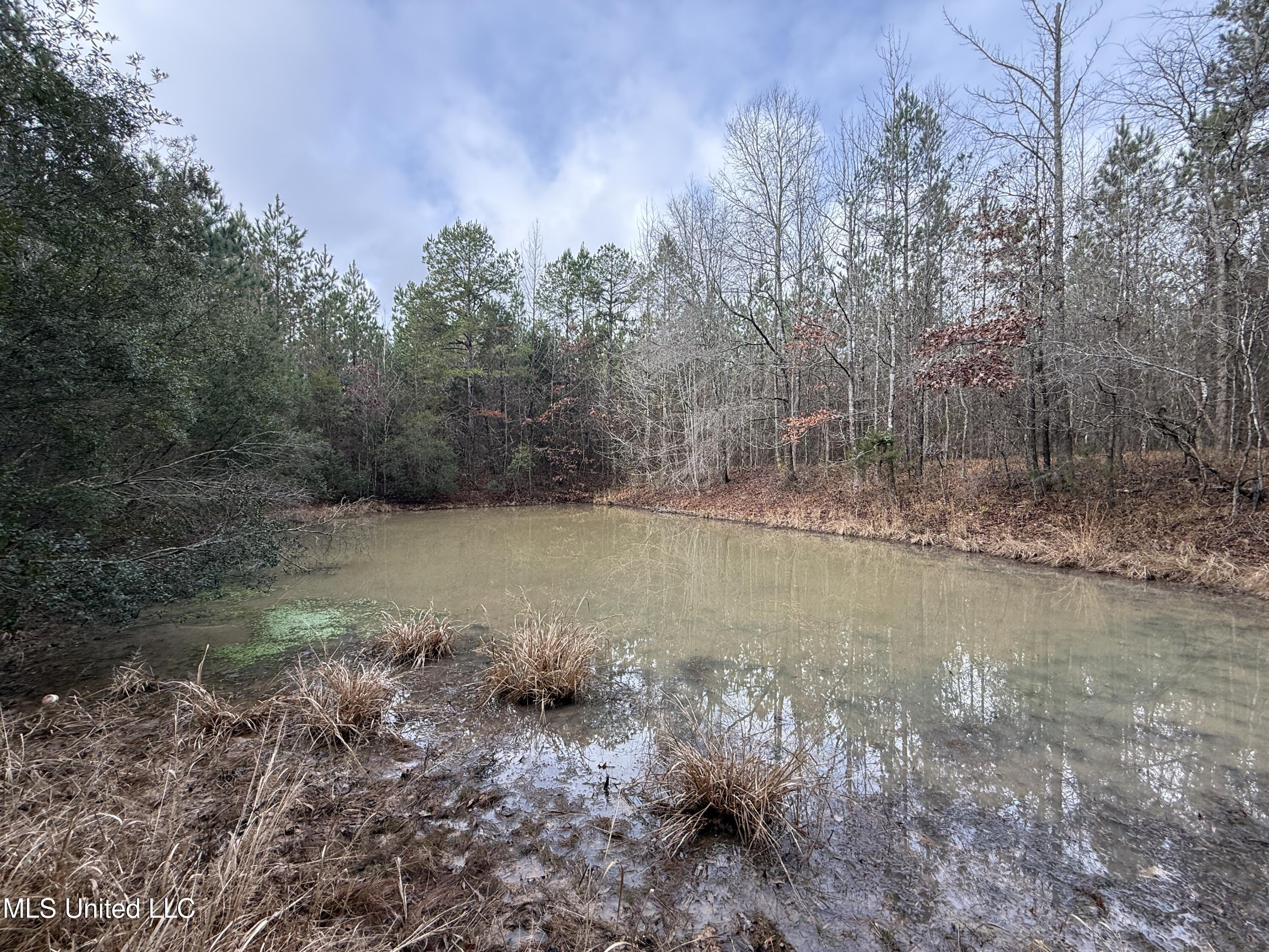 602 Ship Island Road Duck Hill, MS 38925 - Photo 5 of 26 IMG_1483