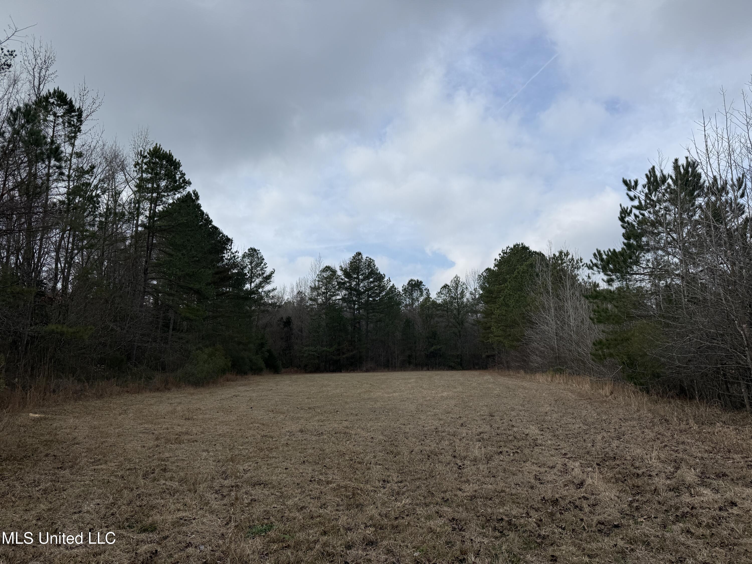 602 Ship Island Road Duck Hill, MS 38925 - Photo 8 of 26 IMG_1486