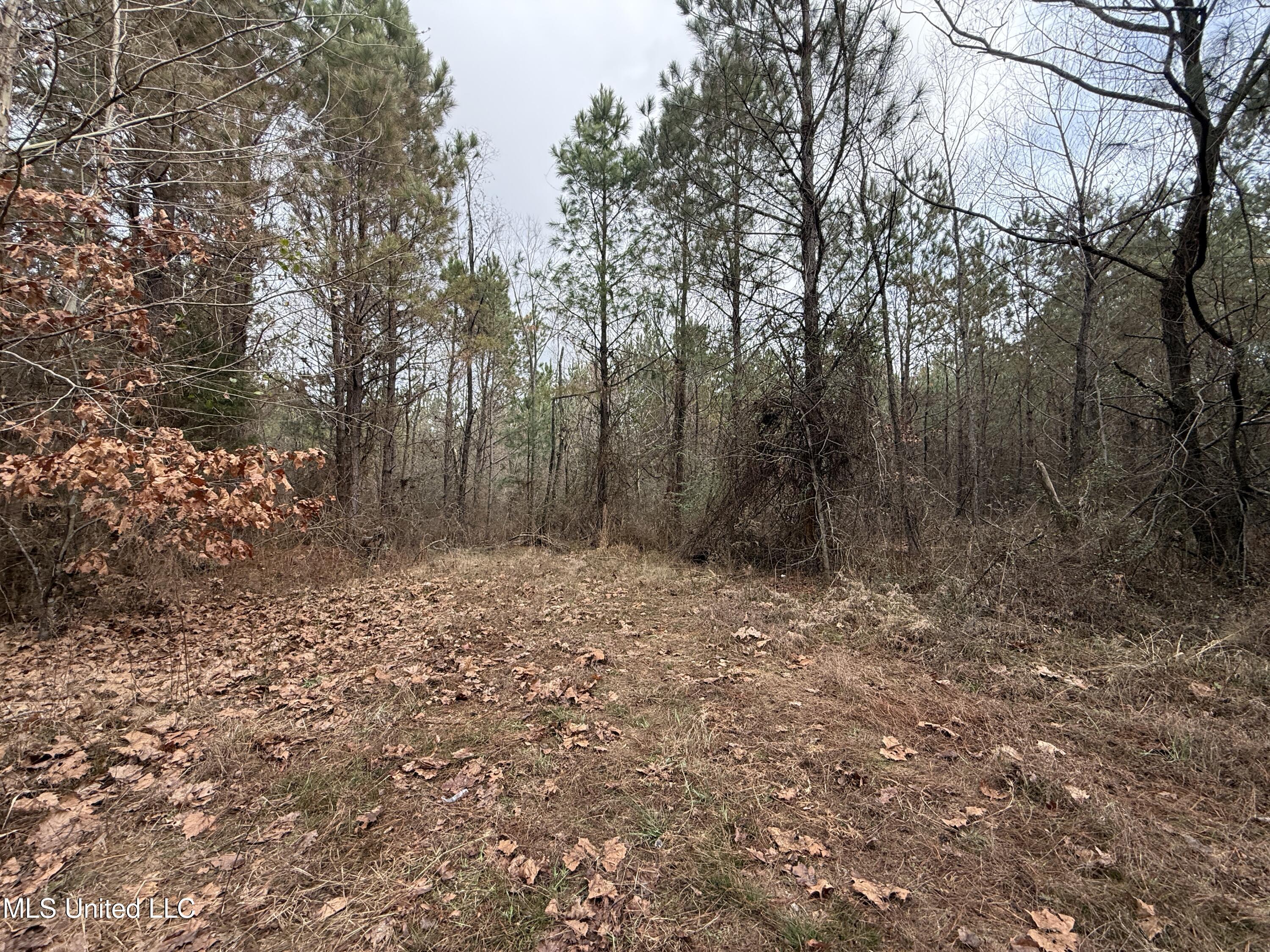 602 Ship Island Road Duck Hill, MS 38925 - Photo 9 of 26 IMG_1487