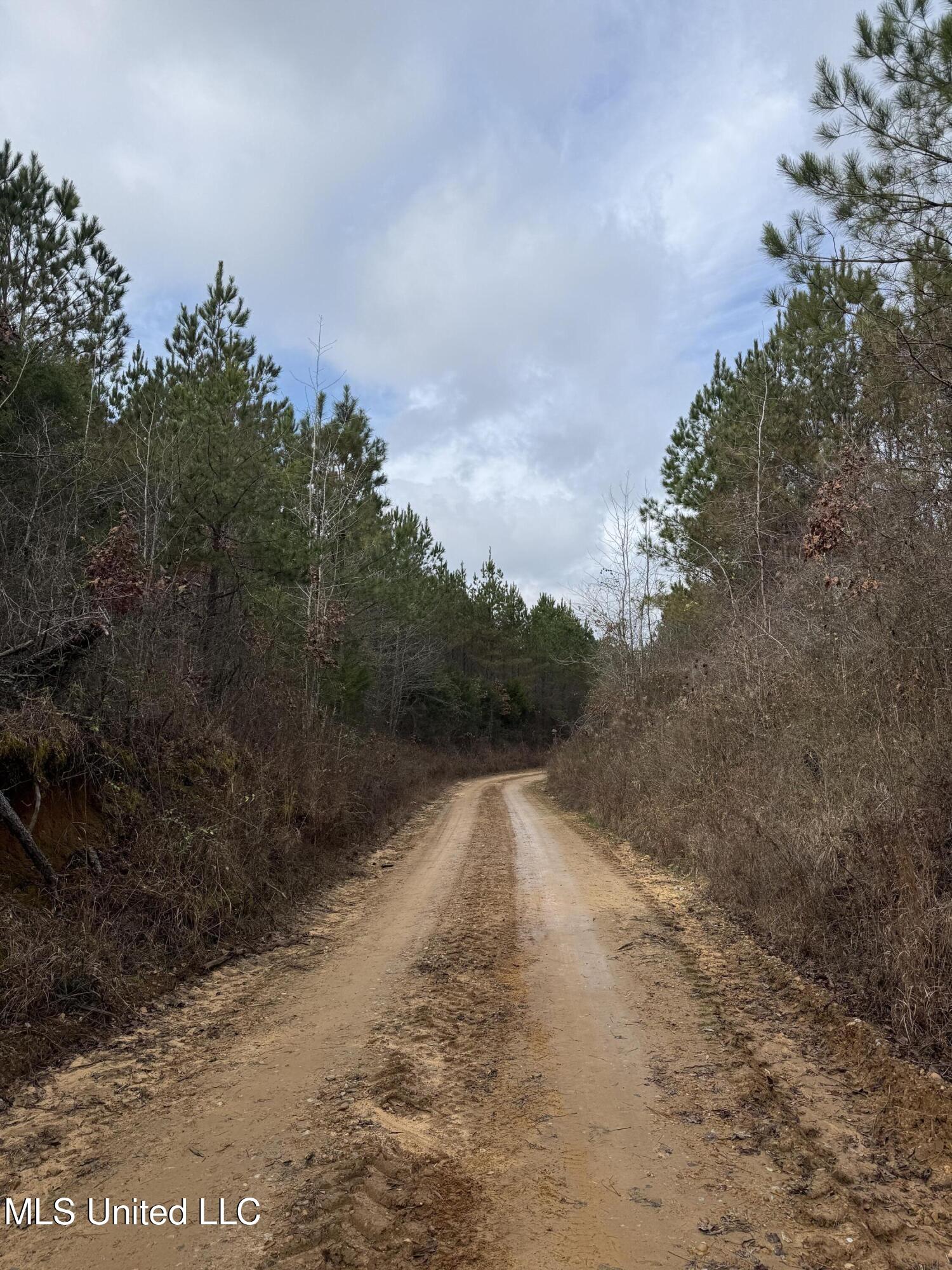 602 Ship Island Road Duck Hill, MS 38925 - Photo 10 of 26 IMG_1488