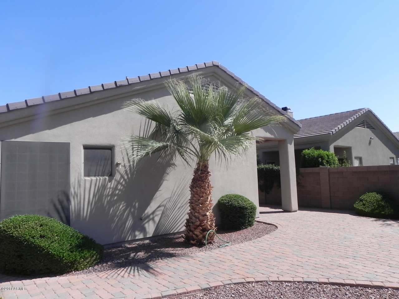 3131 East Amber Ridge Way Phoenix, AZ 85048 - Photo 3 of 26 Back yard