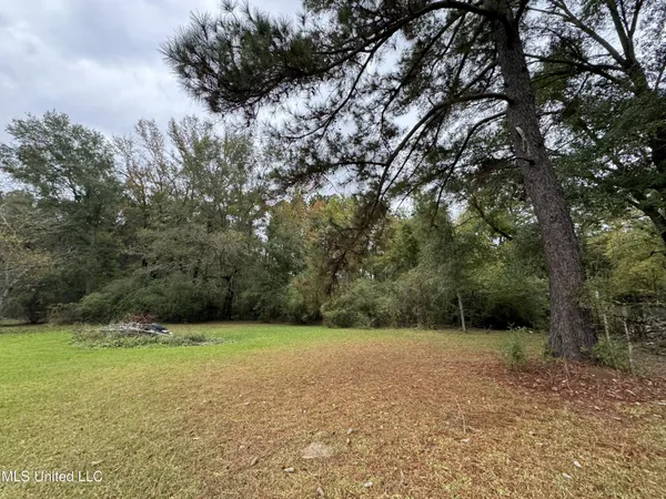 $56,750 | 0 Highway 483 Morton Ms 39094, Lena, MS 39094