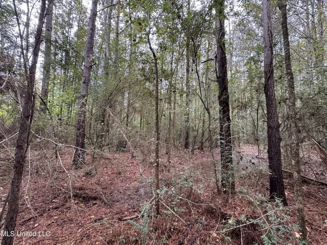 $56,750 | 0 Highway 483 Morton Ms 39094, Lena, MS 39094