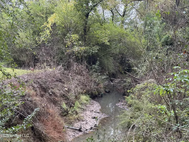 $56,750 | 0 Highway 483 Morton Ms 39094, Lena, MS 39094