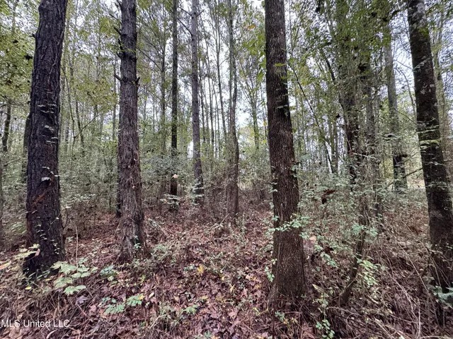 $56,750 | 0 Highway 483 Morton Ms 39094, Lena, MS 39094