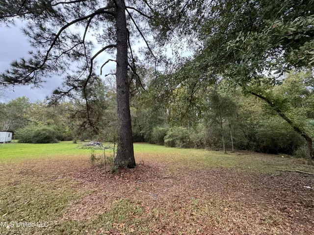 $56,750 | 0 Highway 483 Morton Ms 39094, Lena, MS 39094