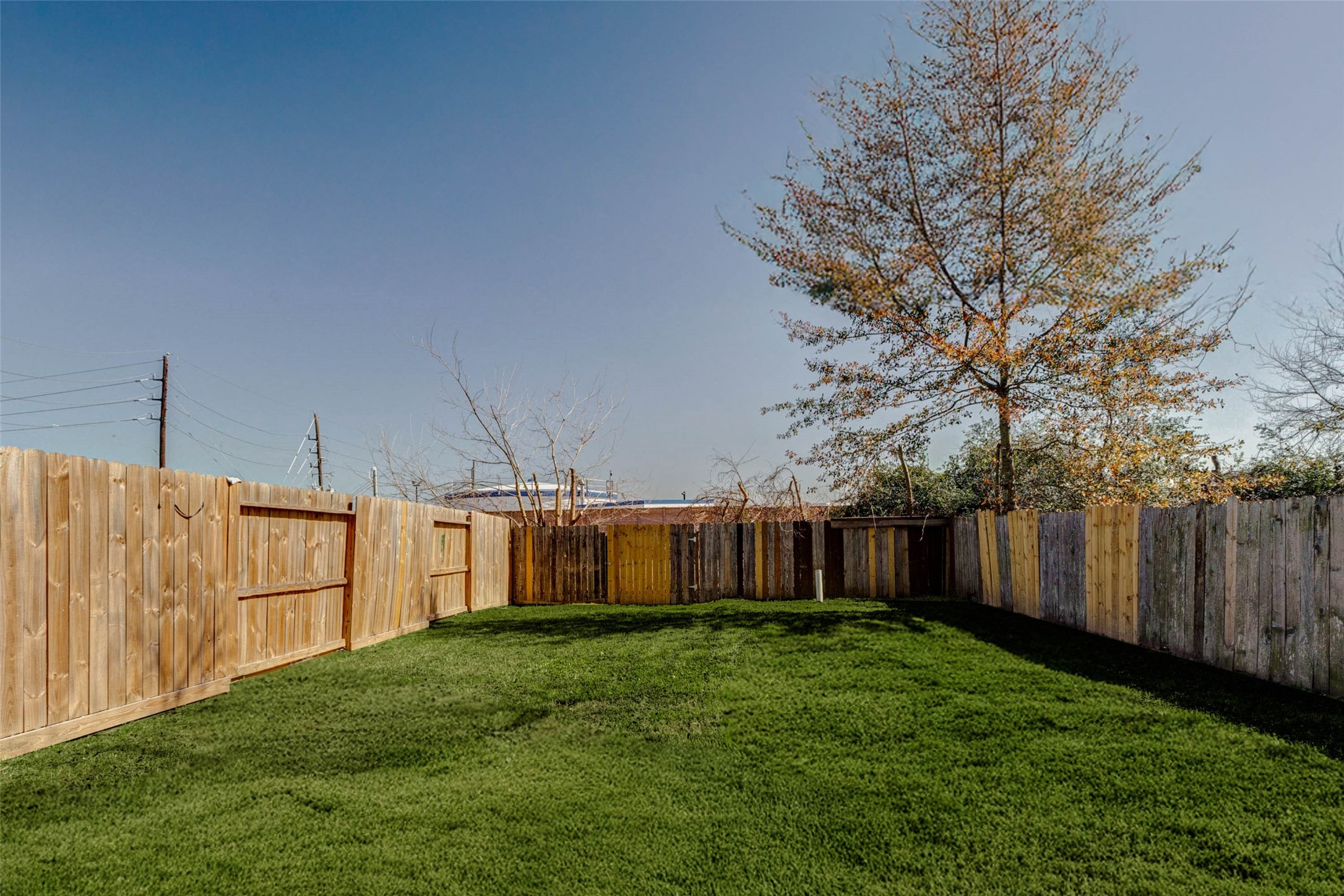 4834 Hollow Hook Road, Unit A Houston, TX 77041 - Photo 26 of 30 a view of a house with backyard and a tree