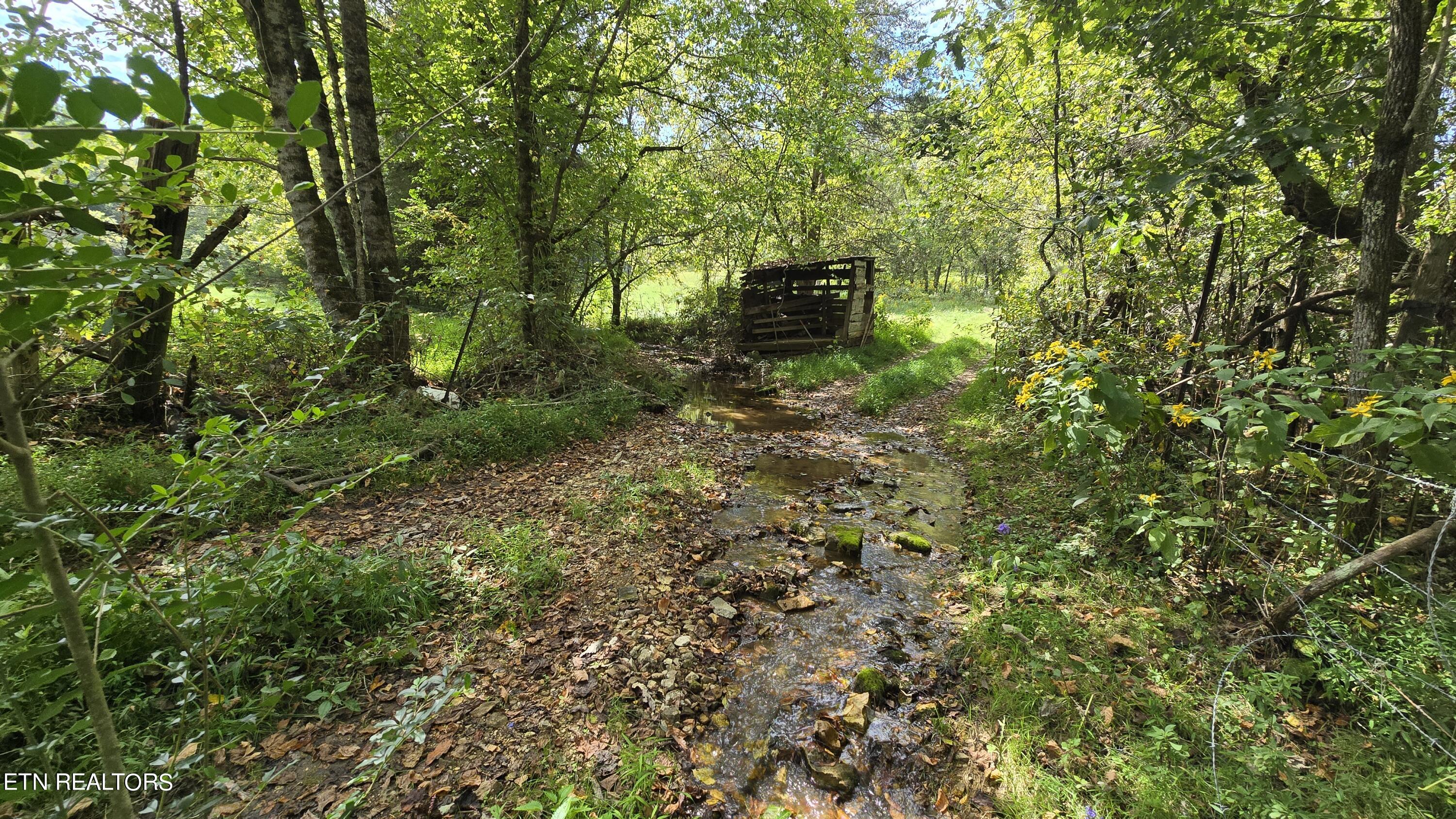 715 Wheeler Road Ewing, VA 24248 - Photo 12 of 46 66 ac Creek