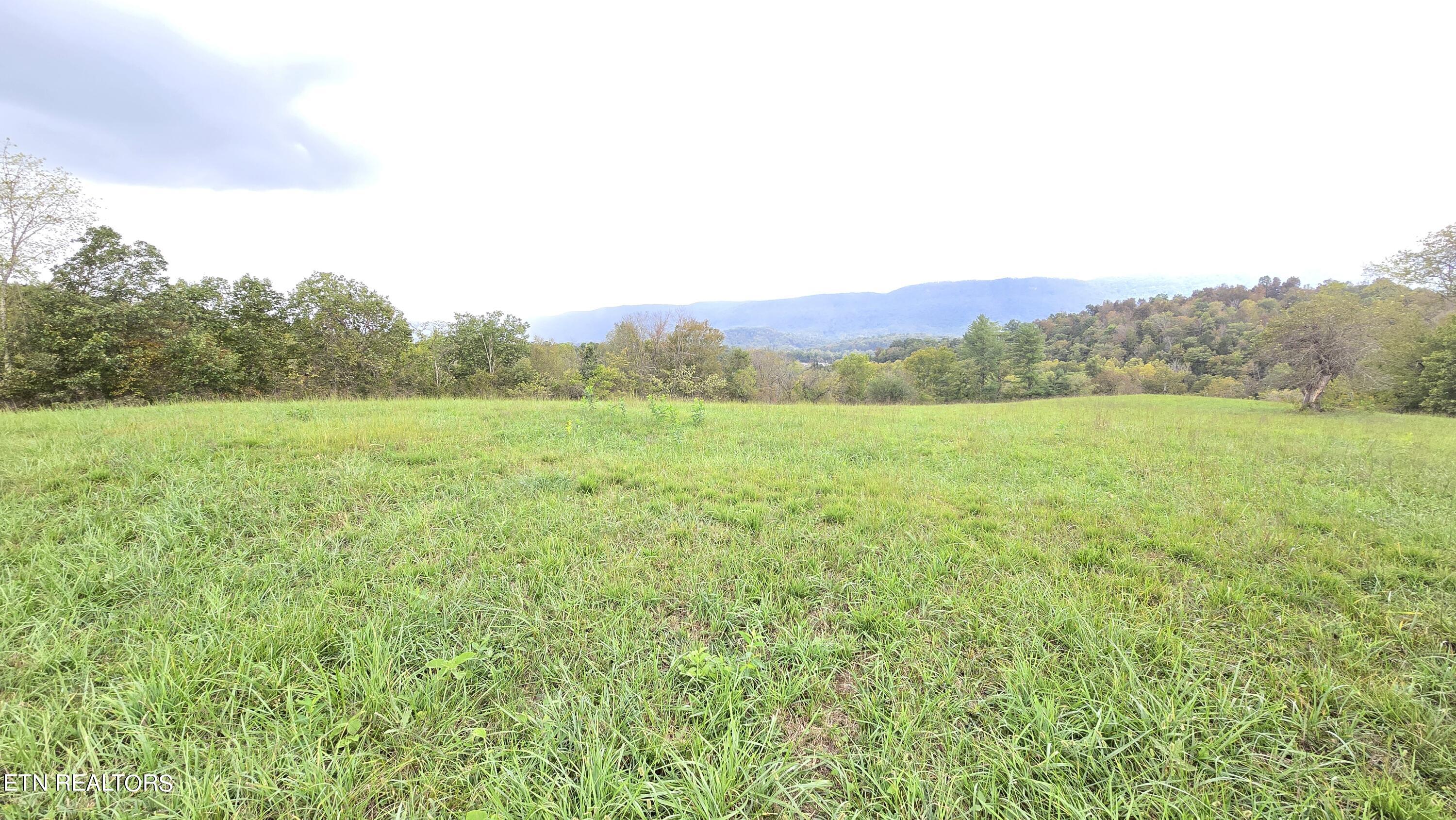 715 Wheeler Road Ewing, VA 24248 - Photo 18 of 46 34 ac