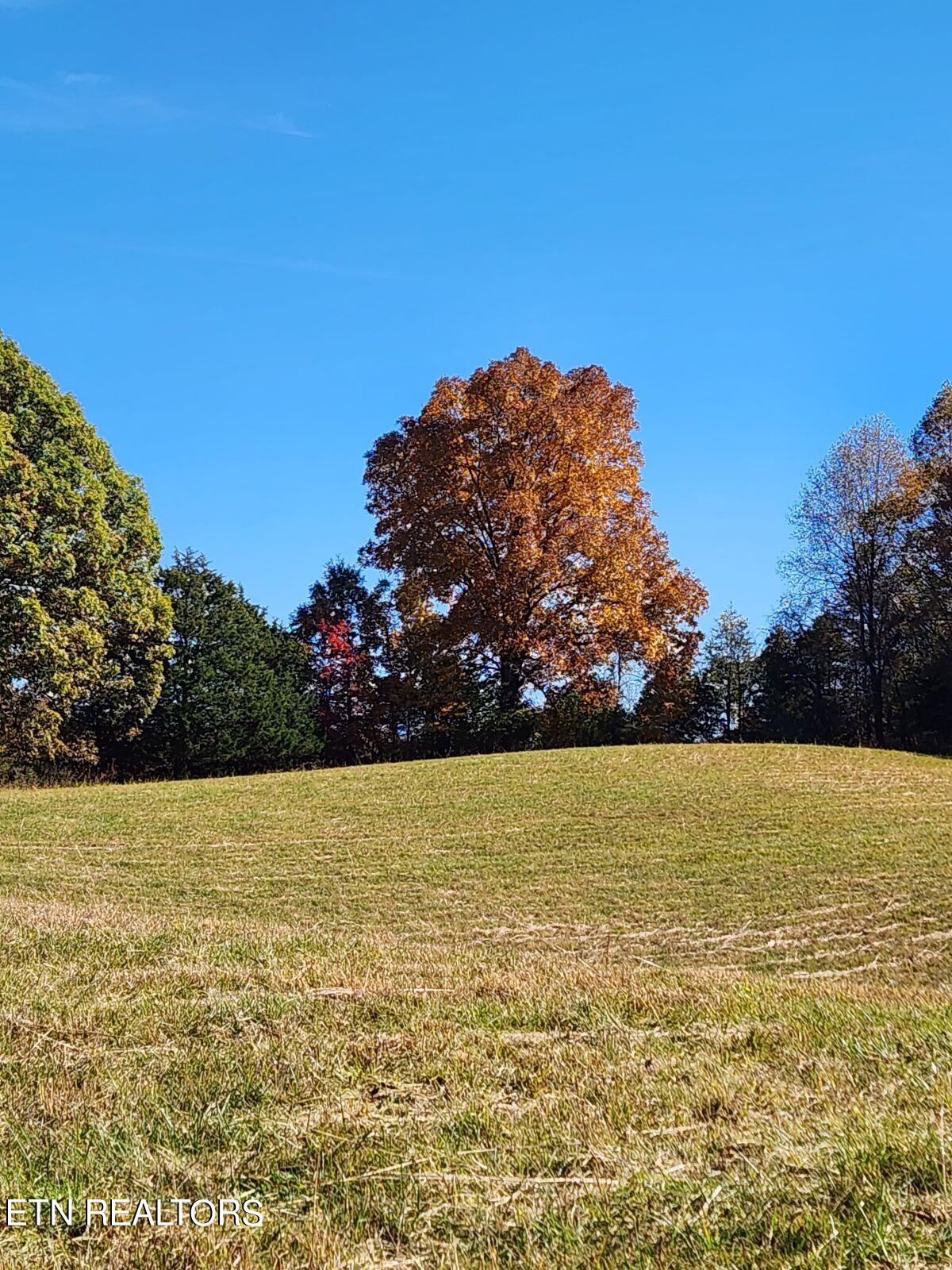 715 Wheeler Road Ewing, VA 24248 - Photo 27 of 46 Fall Views