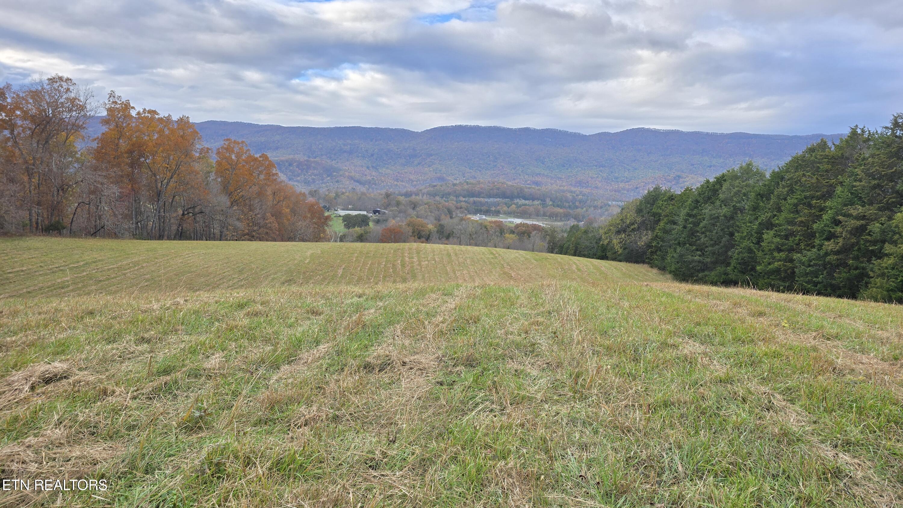 715 Wheeler Road Ewing, VA 24248 - Photo 3 of 46 bb