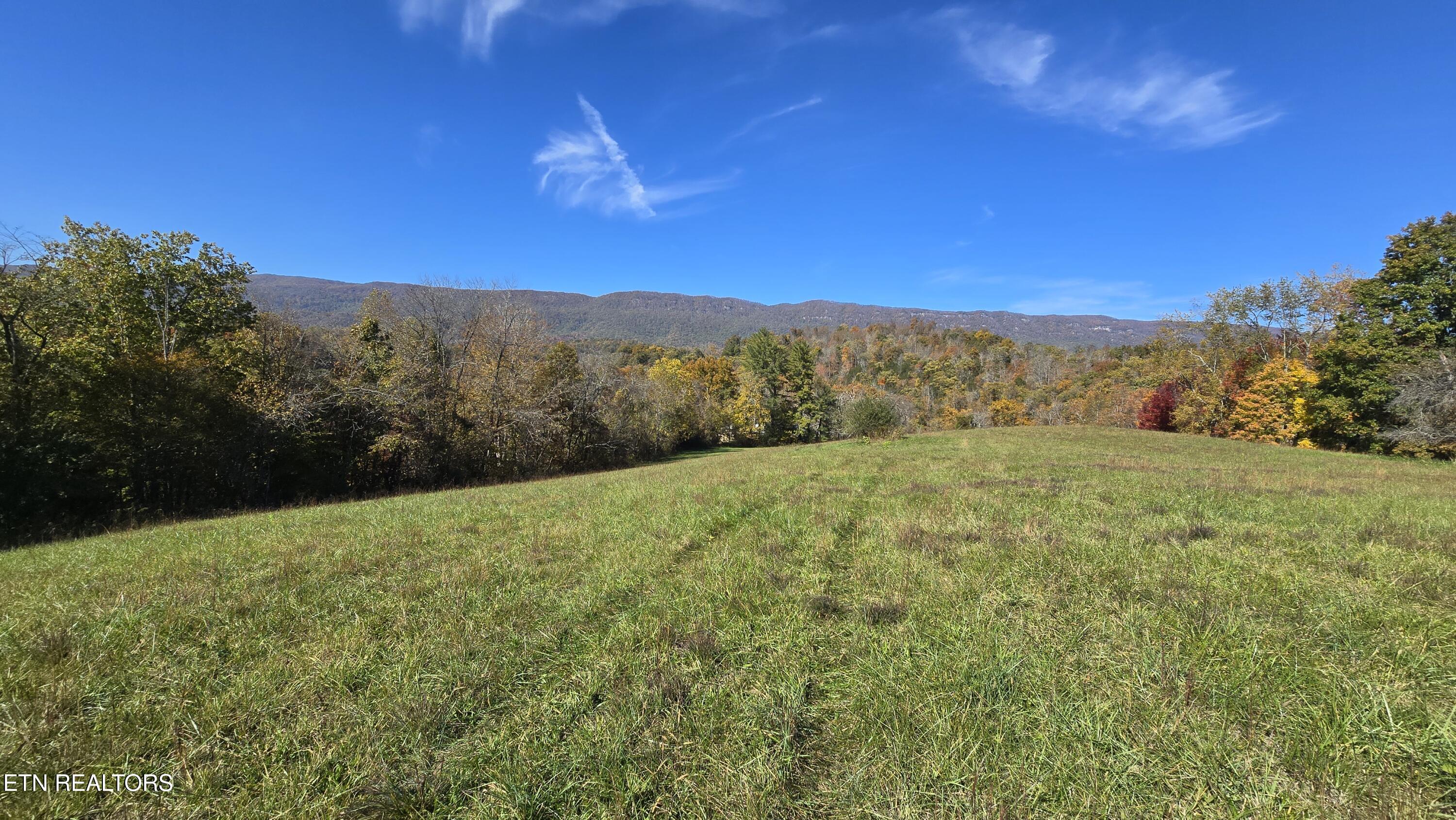 715 Wheeler Road Ewing, VA 24248 - Photo 36 of 46 h