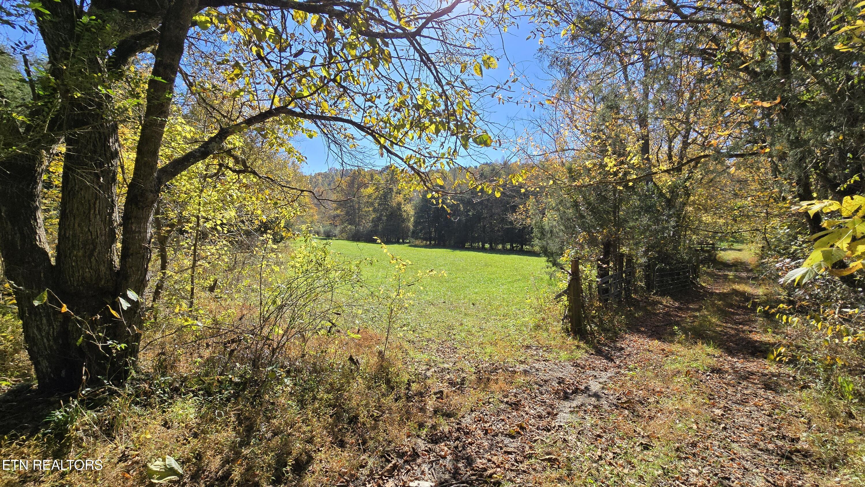 715 Wheeler Road Ewing, VA 24248 - Photo 39 of 46 l