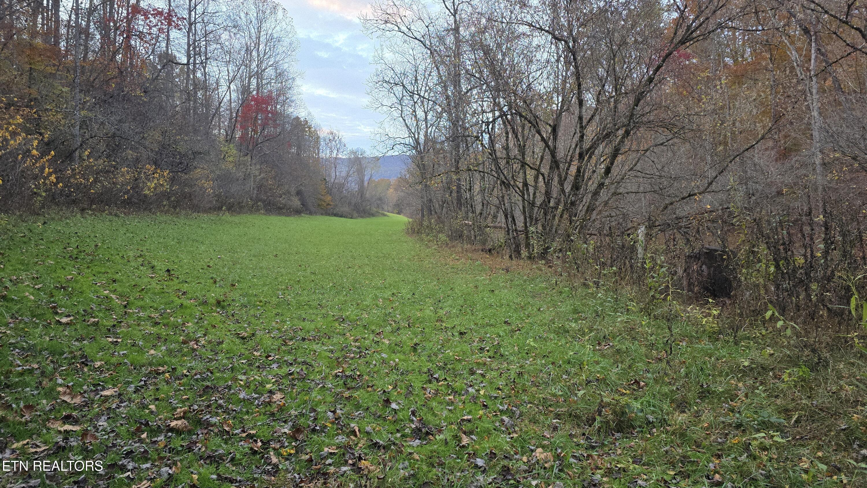 715 Wheeler Road Ewing, VA 24248 - Photo 45 of 46 34 ac
