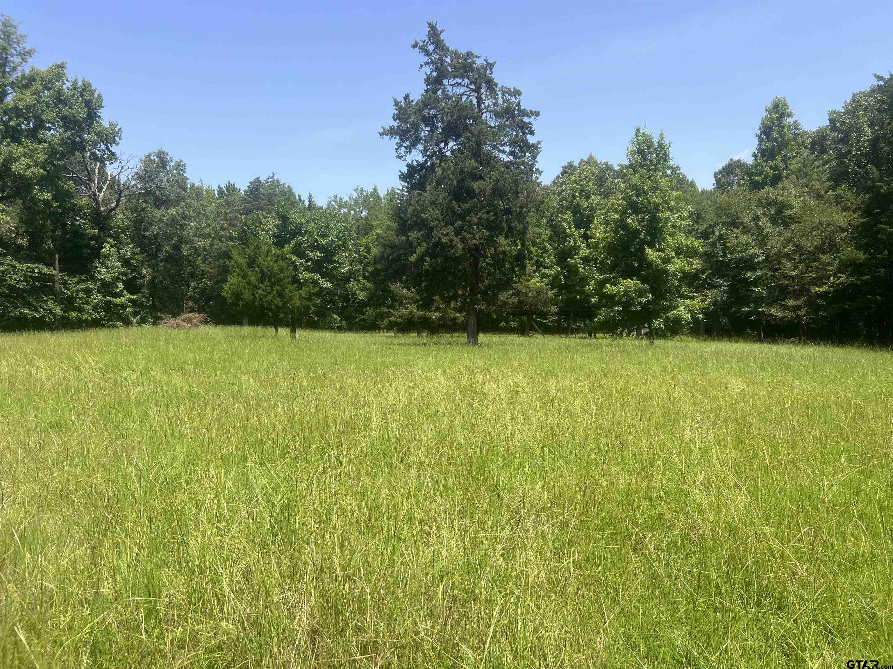 44400-4 Powderly Tx 75473 Powderly, TX 75473 - Photo 2 of 6
