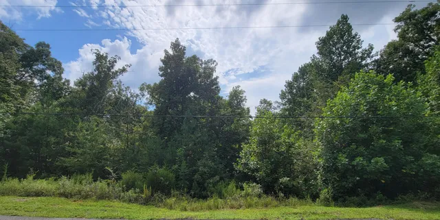 $30,000 | 0 South Bluffs Road, Unit 29, Guild, TN 37340