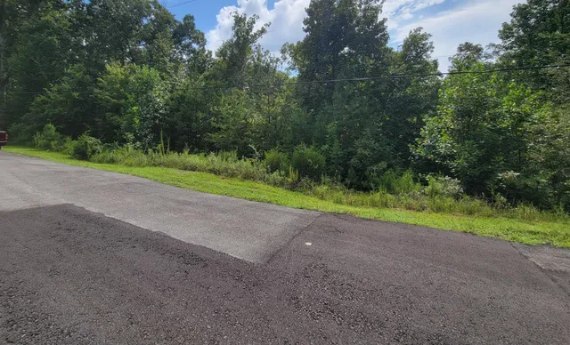 $30,000 | 0 South Bluffs Road, Unit 29, Guild, TN 37340