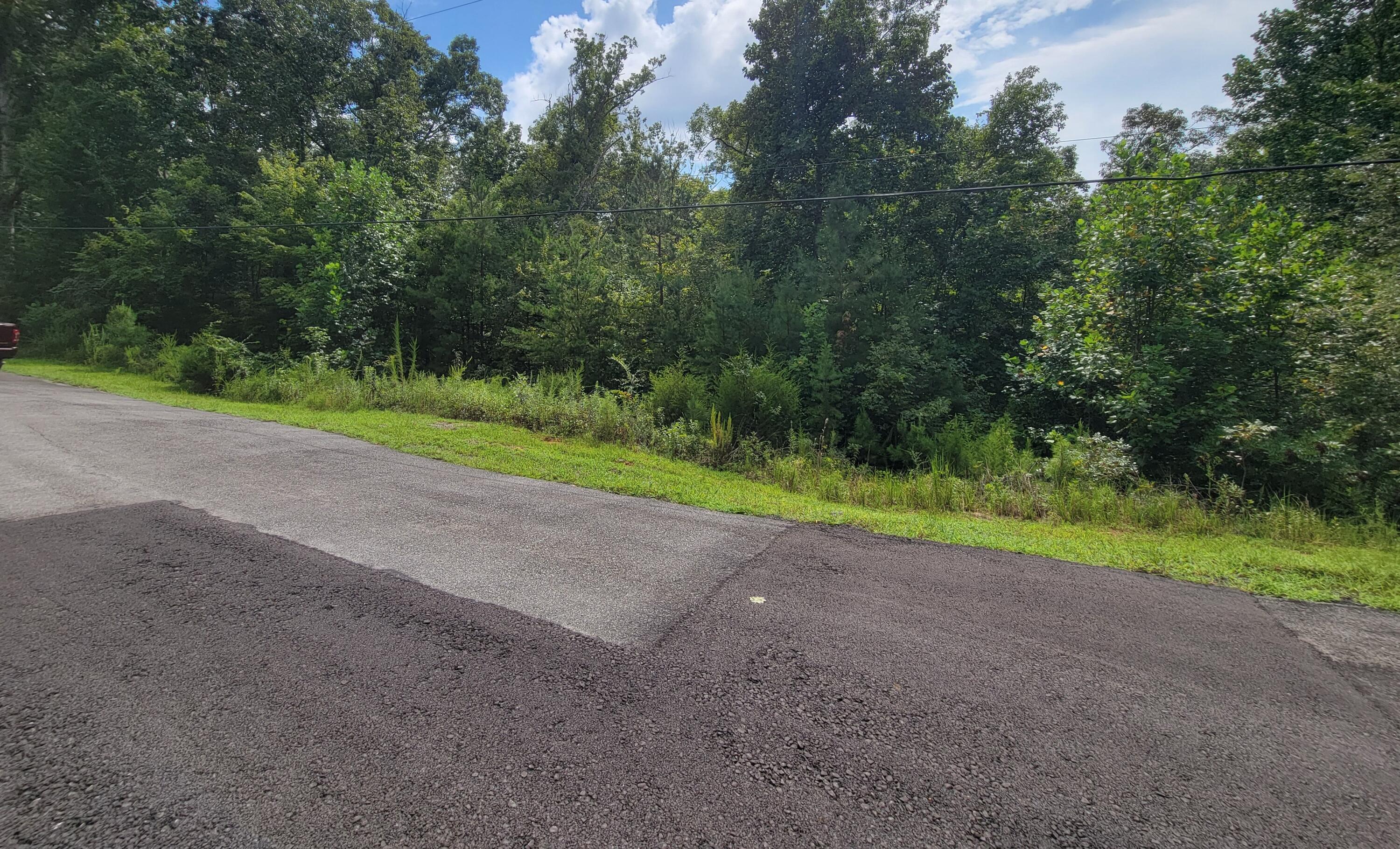 0 South Bluffs Road, Unit 29 Guild, TN 37340 - Photo 5 of 7 20250821_145112