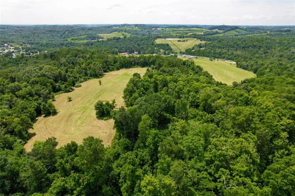 16 Petricca Drive Burgettstown, PA 15021 - Photo 12 of 13 a view of a lake with a yard