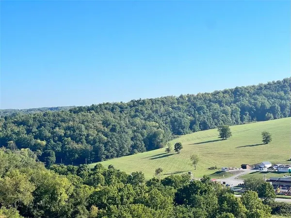 a view of a field with an ocean