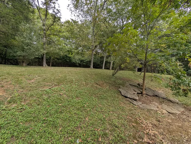 a view of a house with a tree in the yard