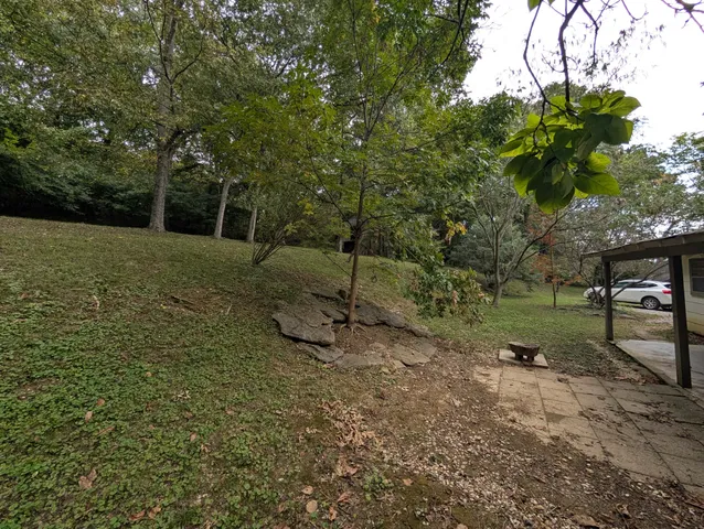 a backyard of a house with lots of green space