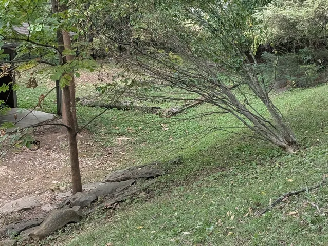 a view of backyard with green space