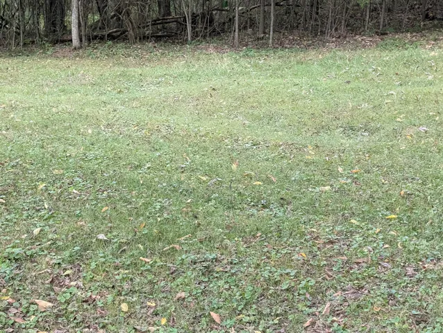 a view of backyard with wooden fence and a bench