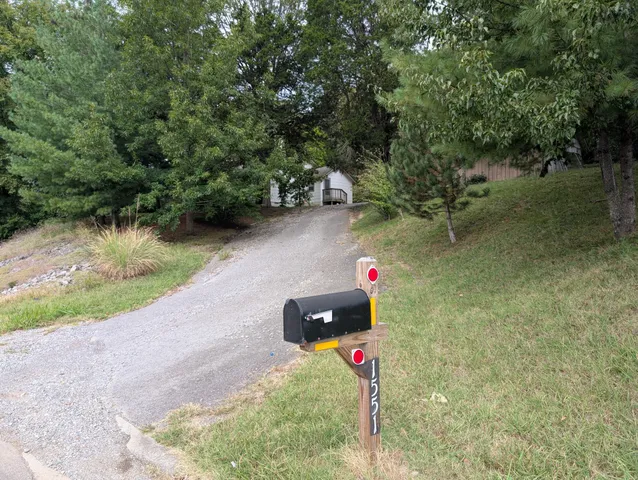 a small yard with lots of green space and plants
