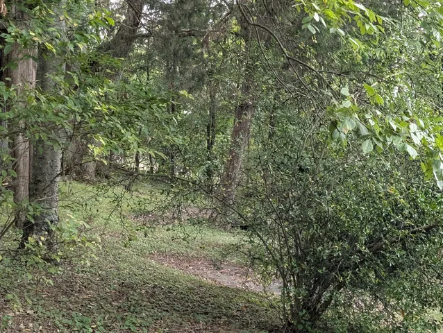 a backyard of a house with lots of green space