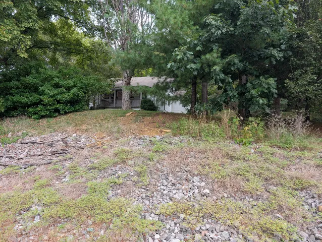 a backyard of a house with trees and plants