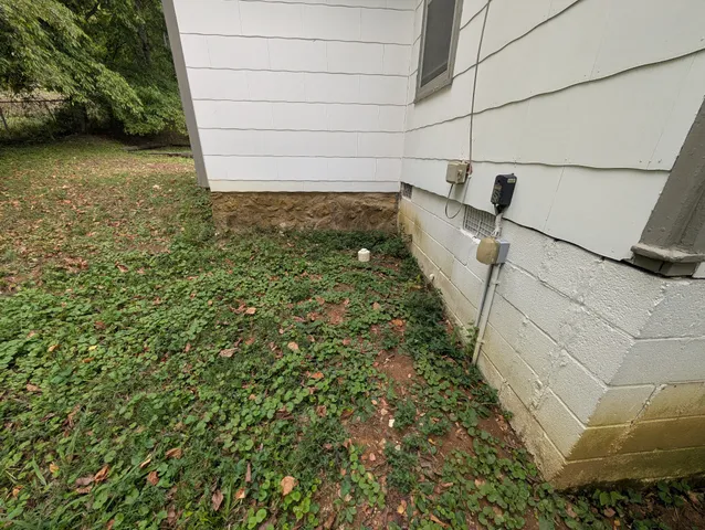 a view of a green yard with large trees