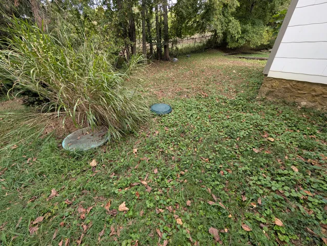 a view of a window and a tree in the background