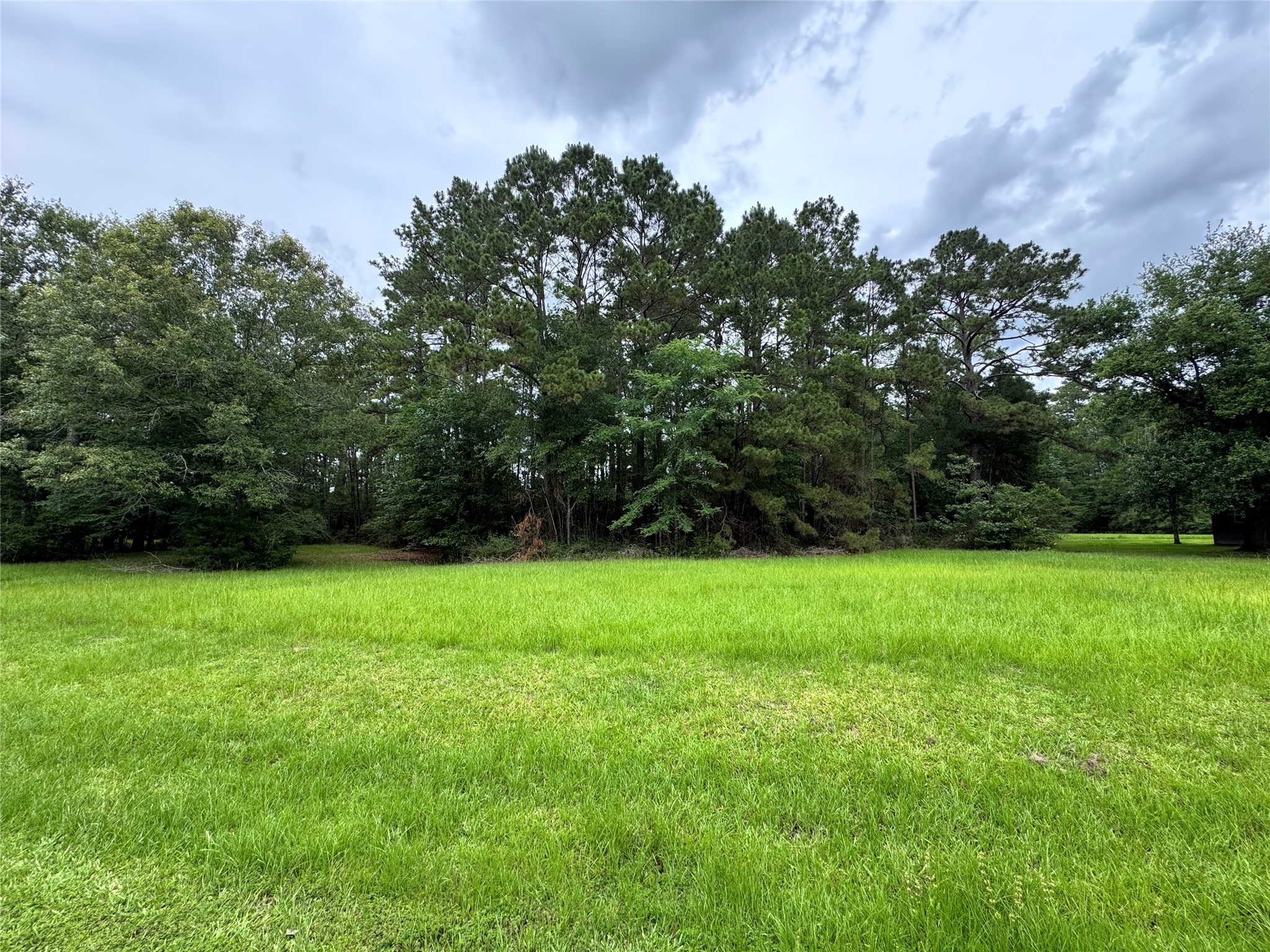 78 Rolling Springs Street Trinity, TX 75862 - Photo 3 of 6 a view of a field of grass and trees