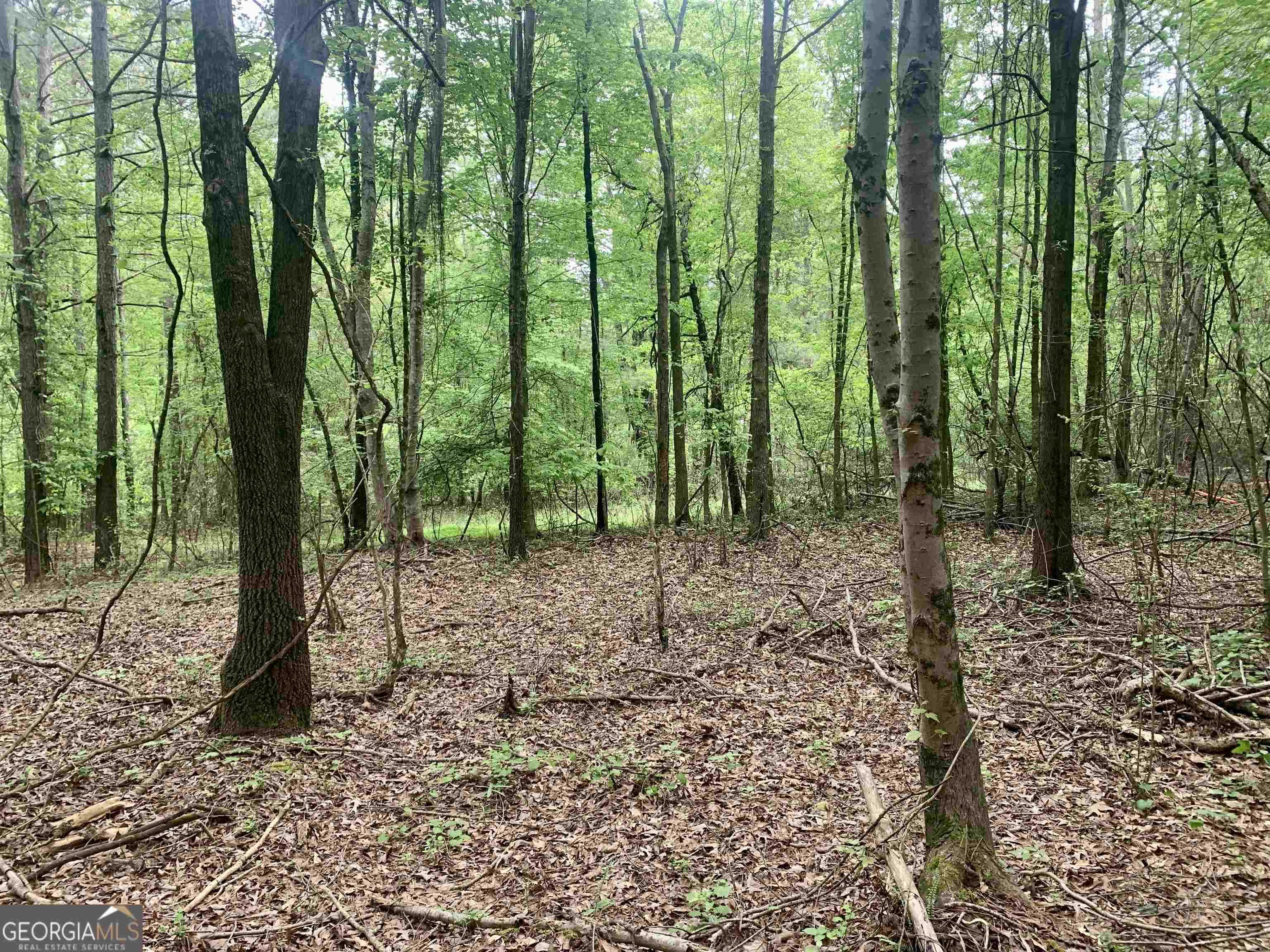 0 Holland Road Bowdon, GA 30108 - Photo 1 of 1 a view of outdoor space and covered with trees