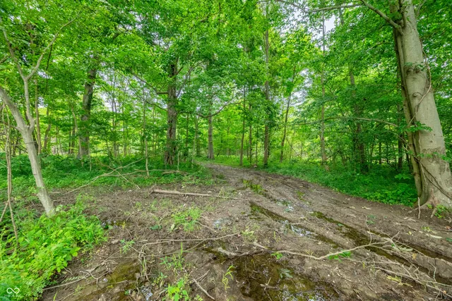 $98,100 | Tract 1 North Us Hwy 231, Spencer, IN 47460