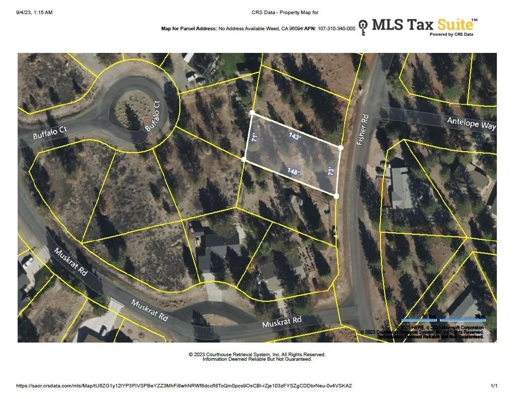 Lot 131 Fisher Road Weed, CA 96094 - Photo 5 of 16 Gallery Image 5