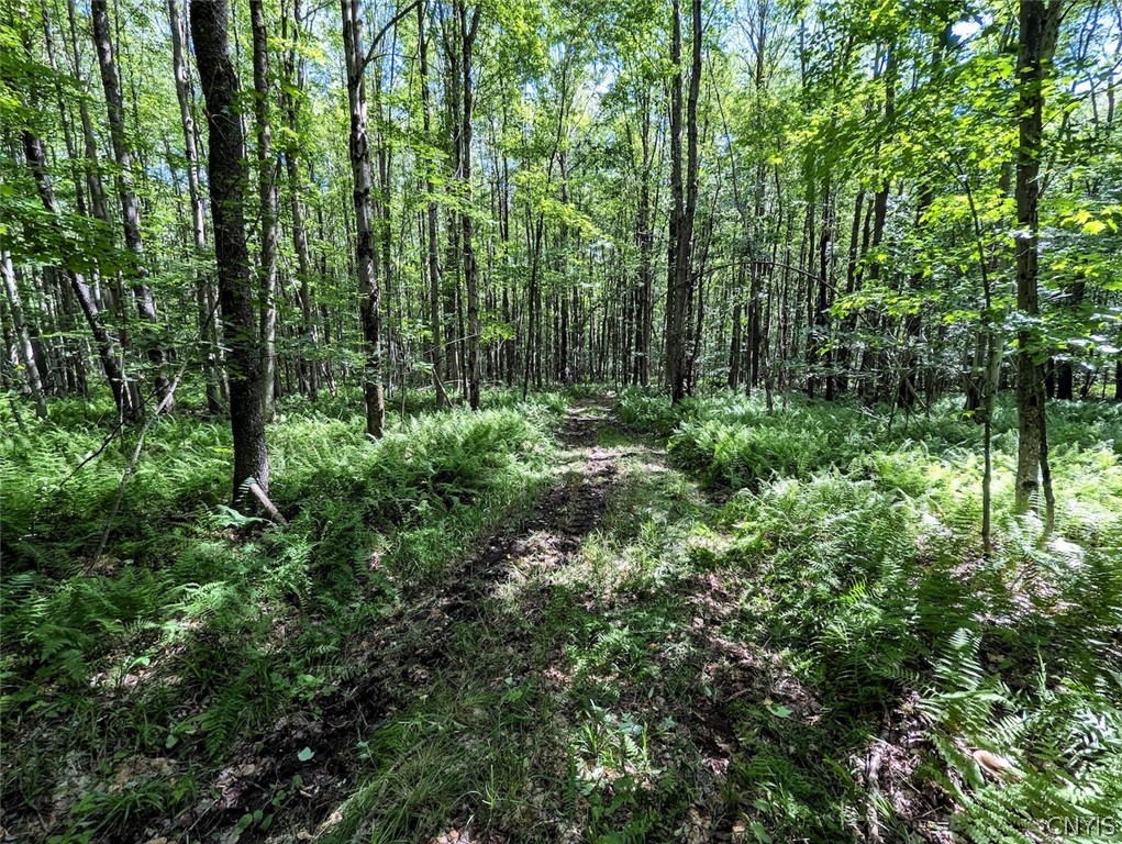 537 Maple Road West Union, NY 14877 - Photo 35 of 50