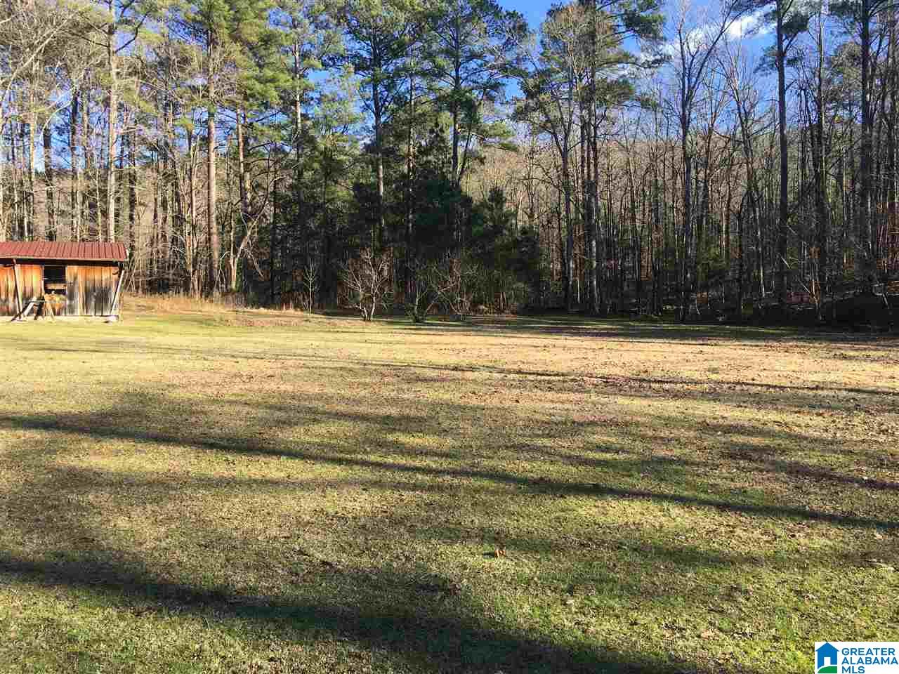 7465 Rodgers Road Southwest Leeds, AL 35094 - Photo 3 of 25