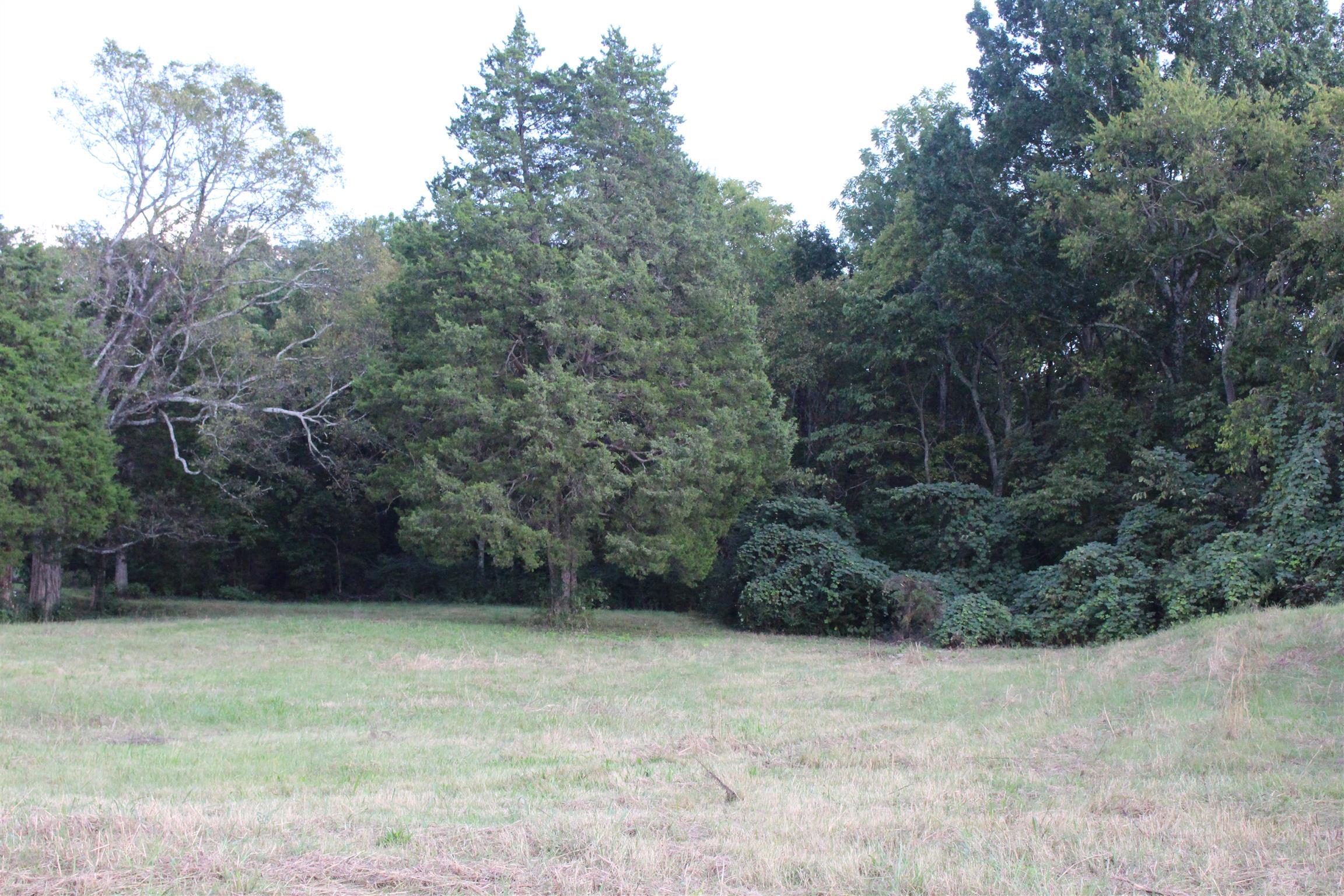 715 Rome Pike Lebanon, TN 37087 - Photo 30 of 30 Gallery Image 30