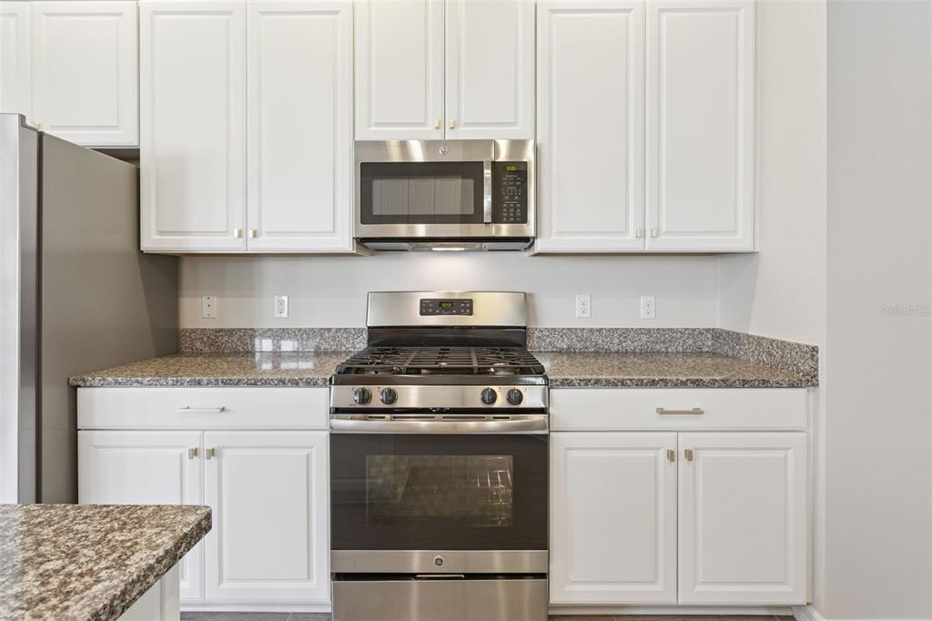 295 Silver Maple Road Groveland, FL 34736 - Photo 23 of 63