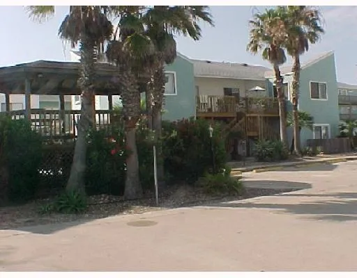a backyard of a house with fountain