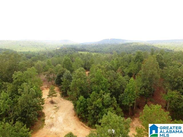 22-acres Clairmont Springs Road, Unit 22 ACRES Lineville, AL 36266 - Photo 4 of 16