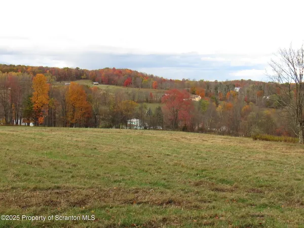 a view of a field of grass and trees