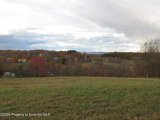 a flower in a garden